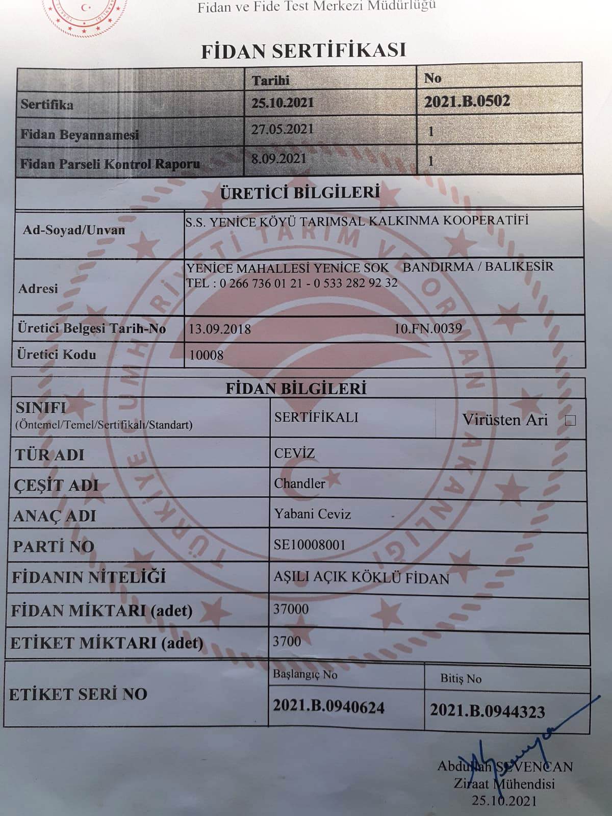 chandler ceviz fidanı sertifikası